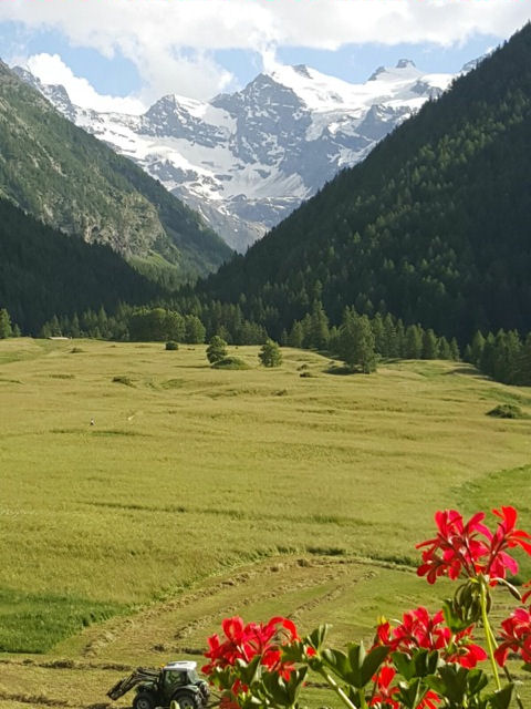 meadows